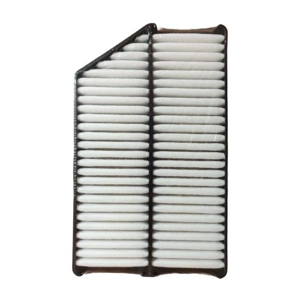 Filtro de Aire Kia Sportage 2.0, Carens, Hyundai Tucson Trip - Imagen 2